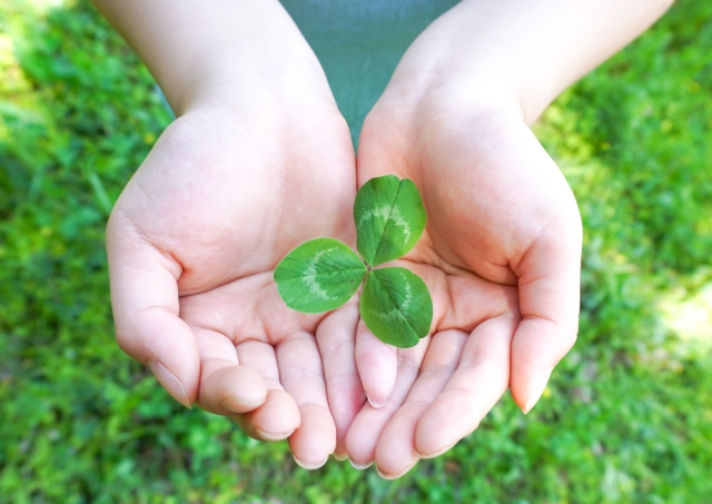 DX・業務改善伴走支援